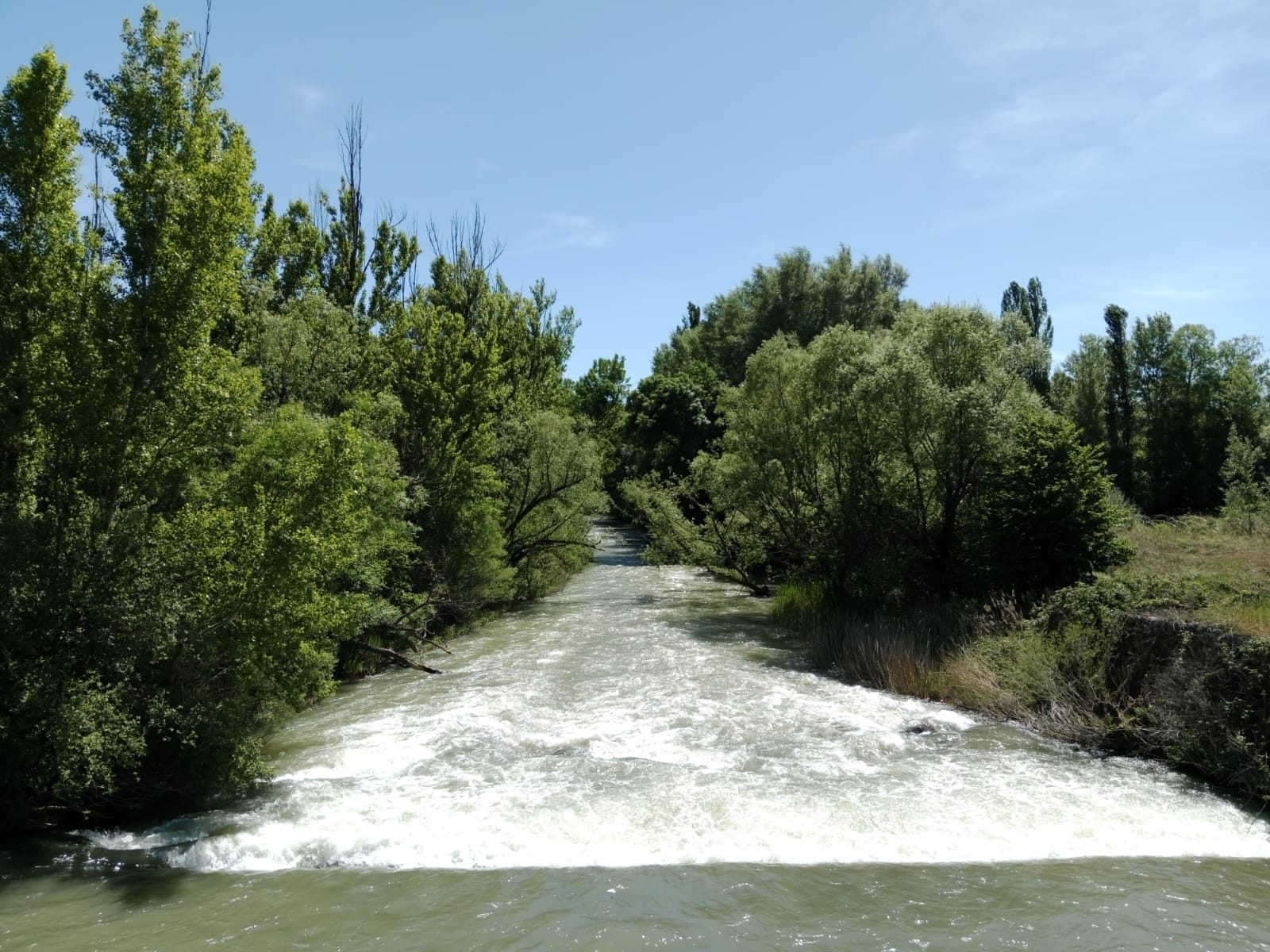 Imagen 8