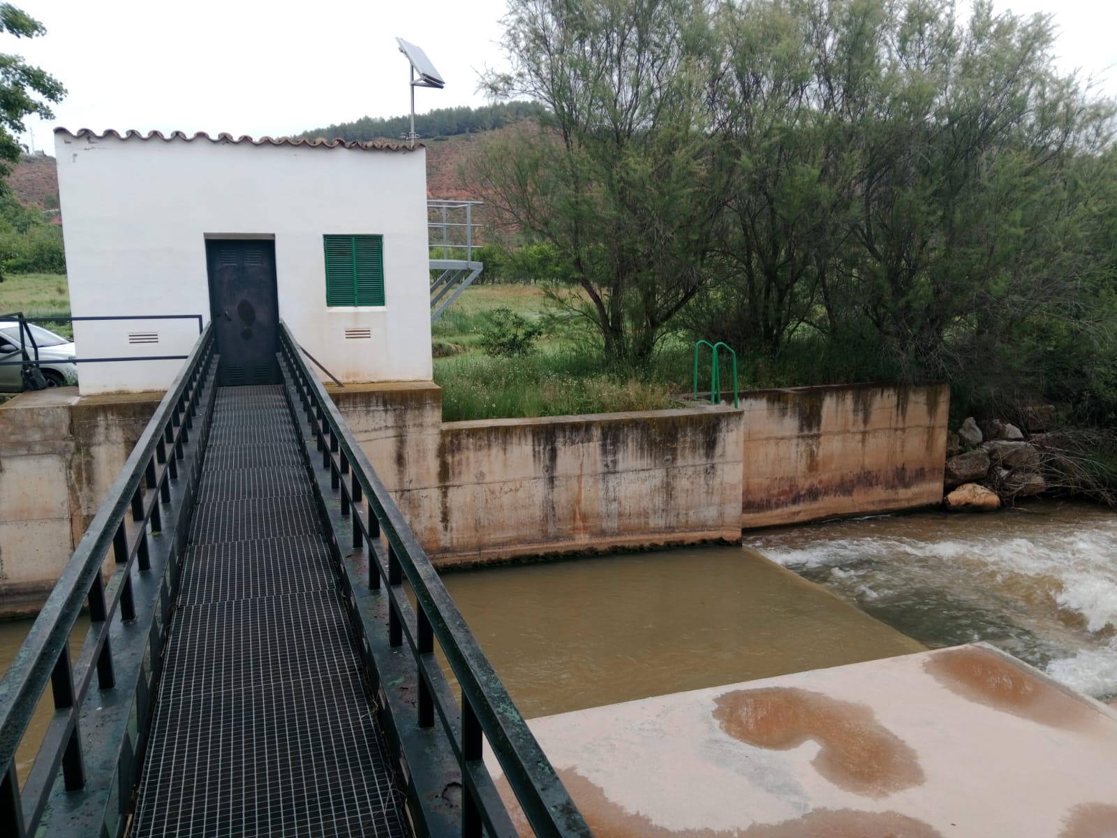 Imagen 4