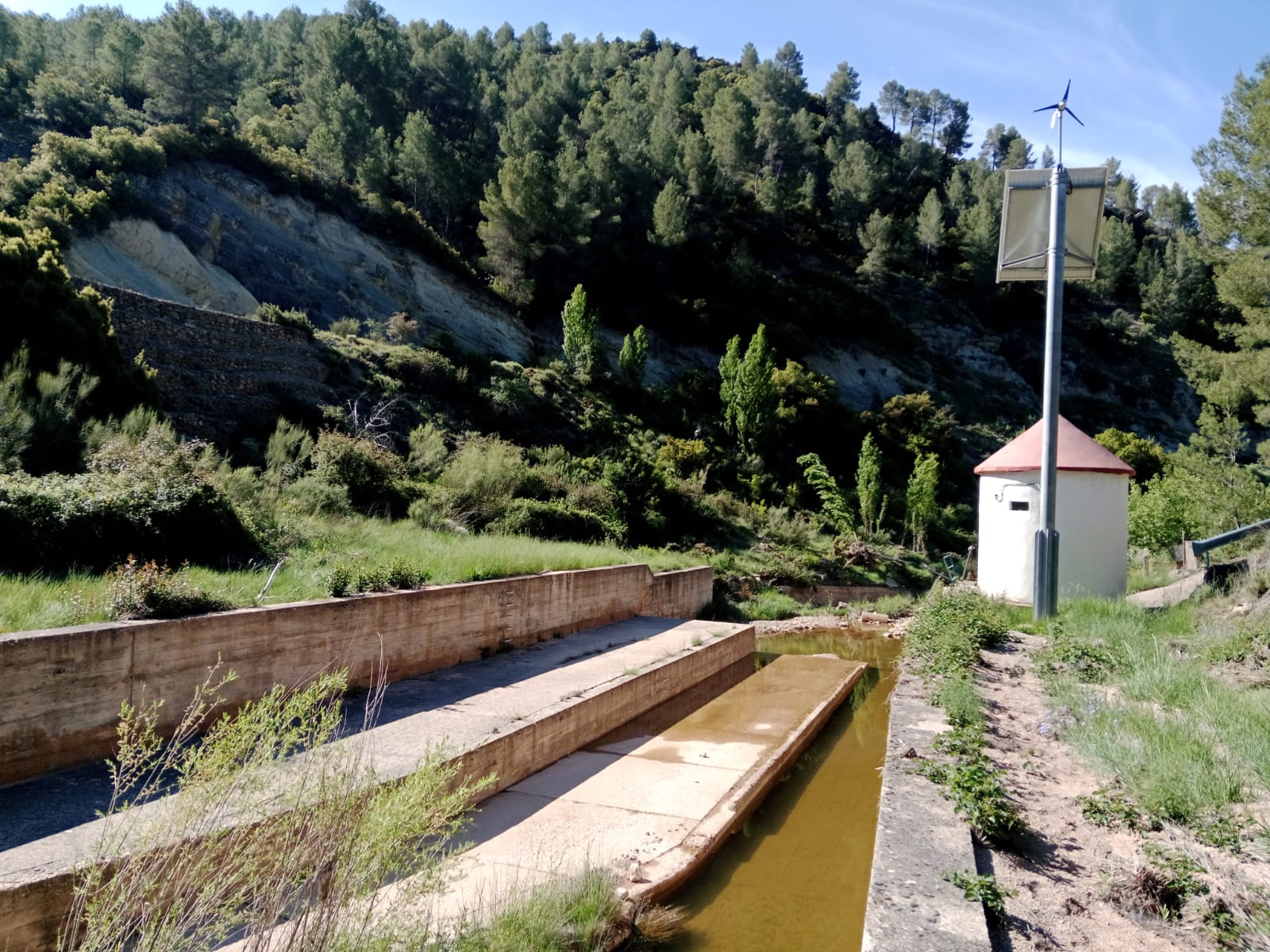 Imagen 2
