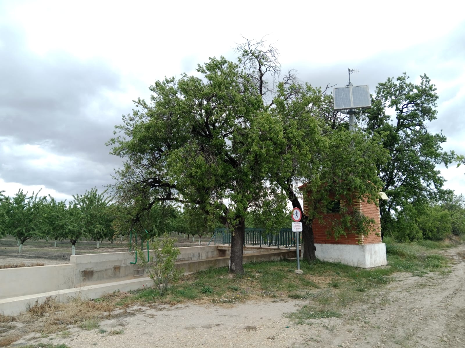 Imagen 8