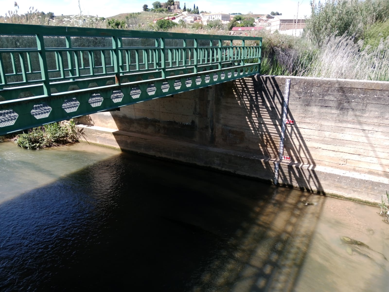 Imagen 7
