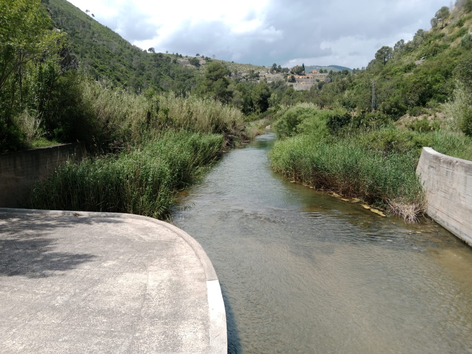 Imagen 7