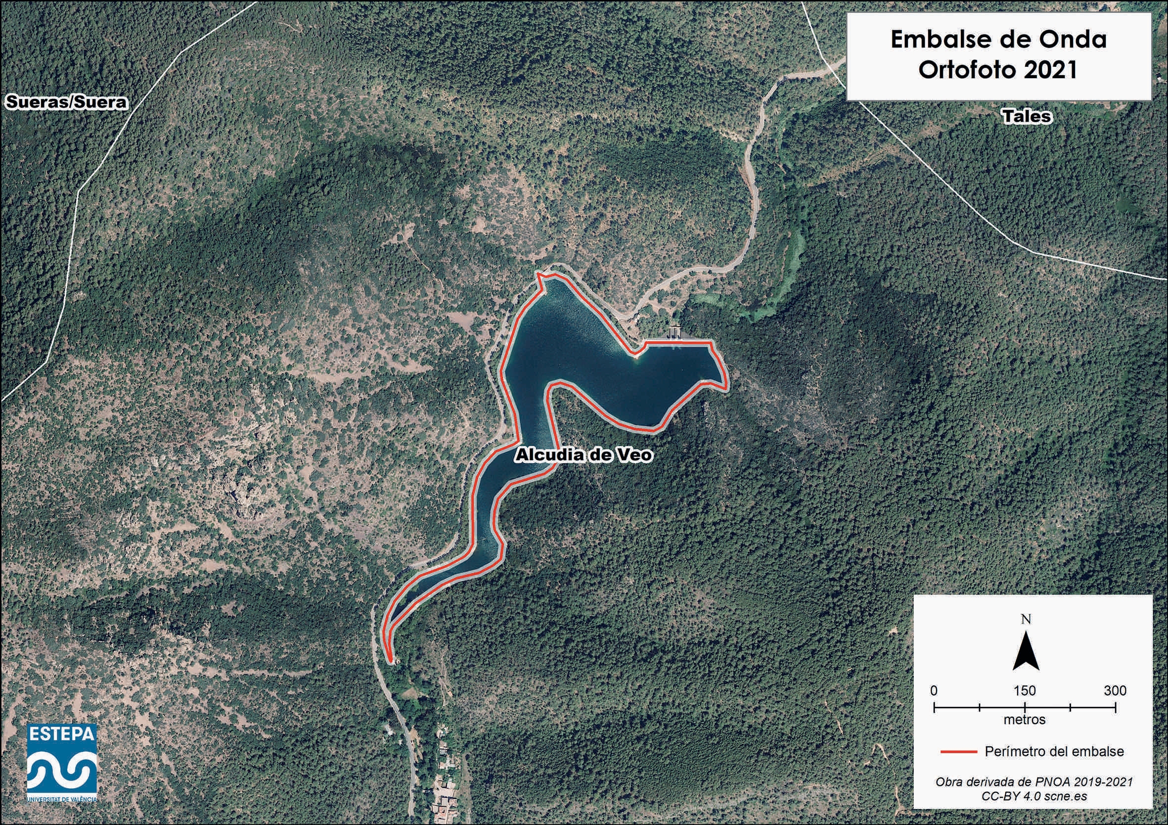 Imagen 7