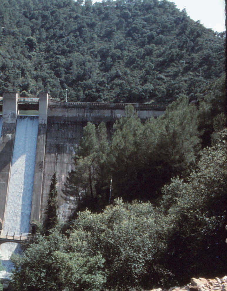 Imagen 20