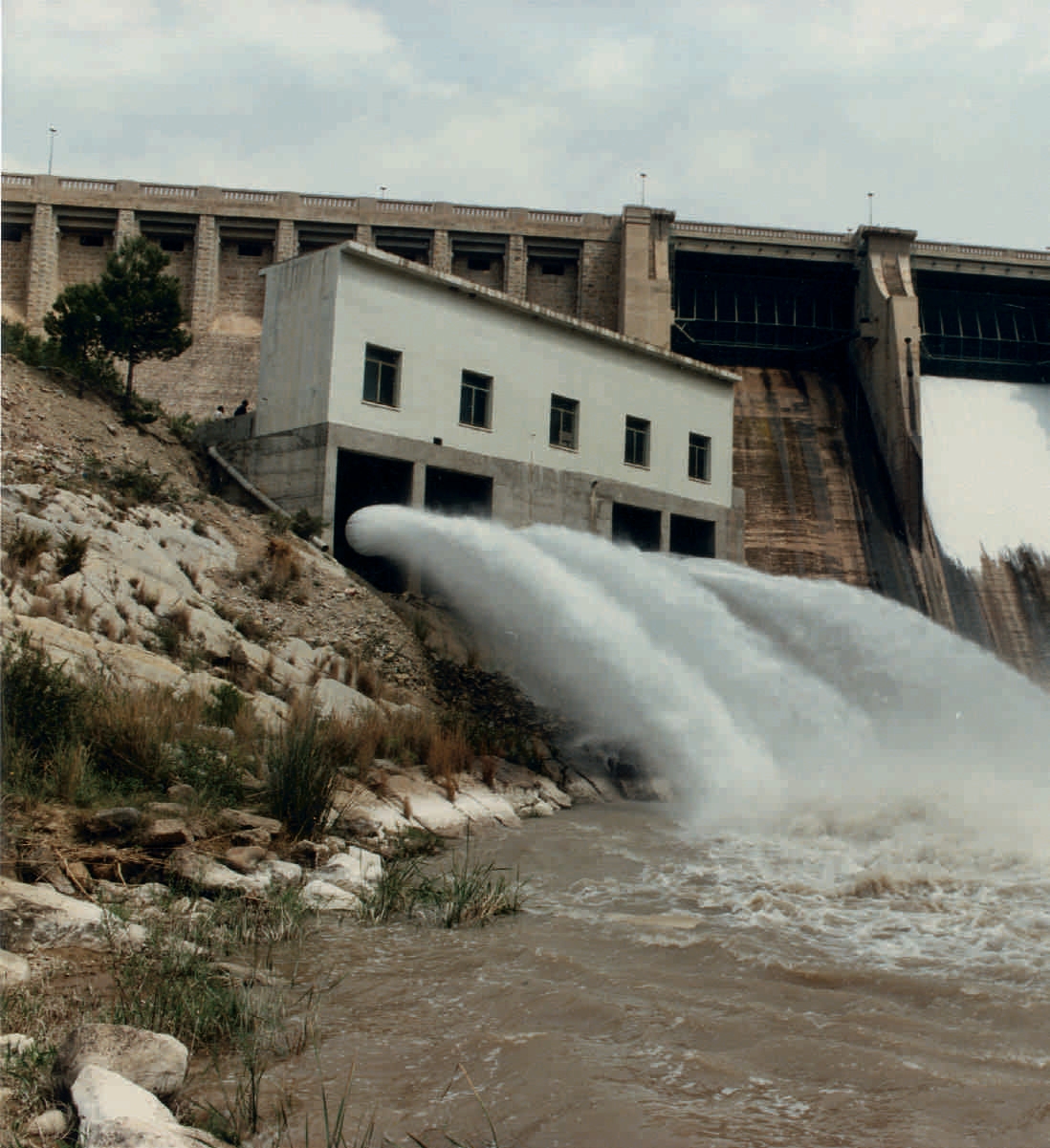 Imagen 11